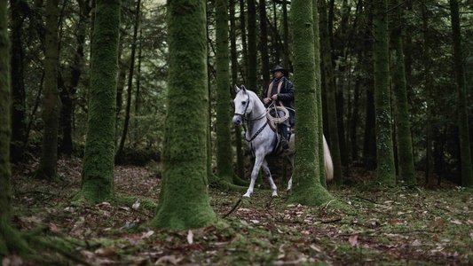 L'Ankou, l'Enfant et les Brigands
