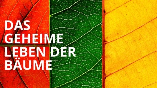 Das geheime Leben der Bäume