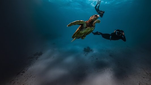 Shipwreck Hunters Australia