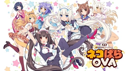 ネコぱらOVA