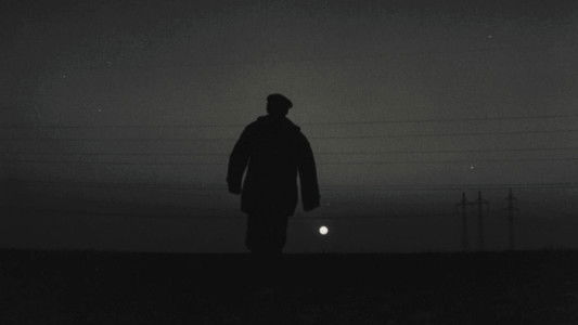 Цветок на камне