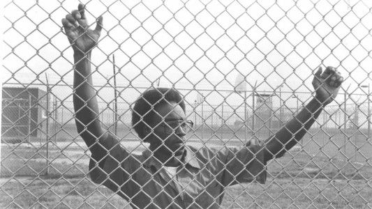 Fourteen Days in May