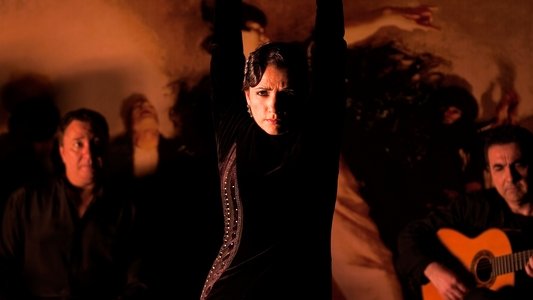 Flamenco Flamenco