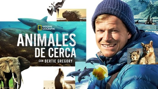 Animals Up Close with Bertie Gregory
