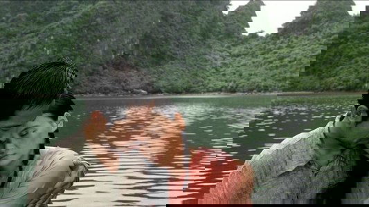Mùa hè chiều thẳng đứng