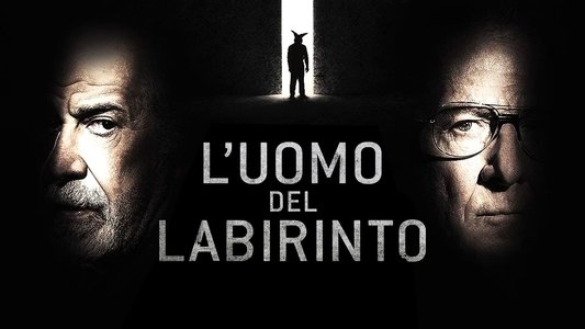 L'uomo del labirinto