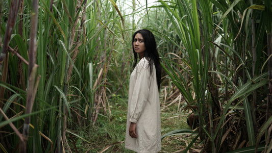 Janur Ireng: Sewu Dino the Prequel