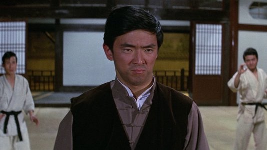 獨臂拳王
