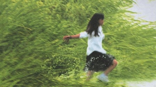 リリイ・シュシュのすべて