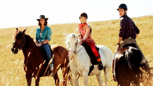 Bibi & Tina - Der Film