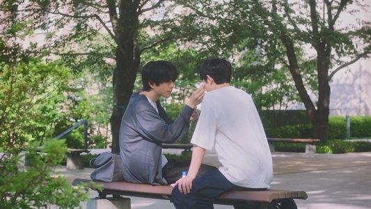ひだまりが聴こえる