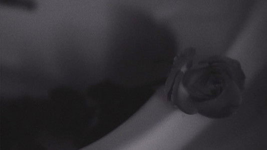 Les Baisers de secours