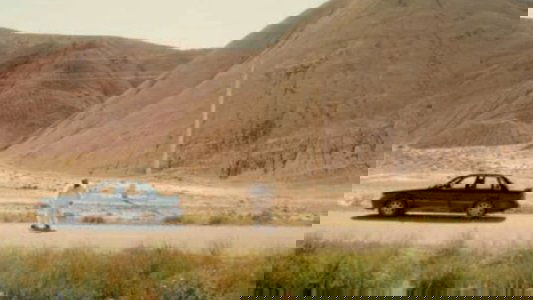 تاکسیدرمیست