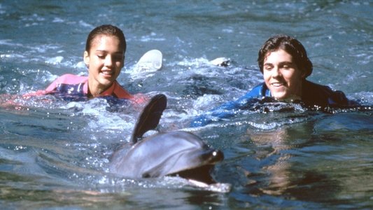 Flipper