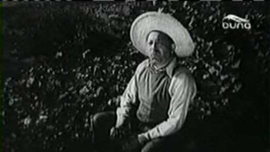 Édes mostoha