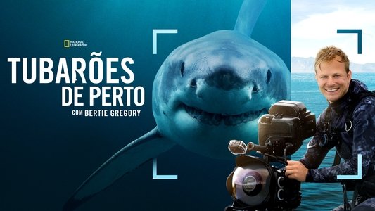 Sharks Up Close with Bertie Gregory
