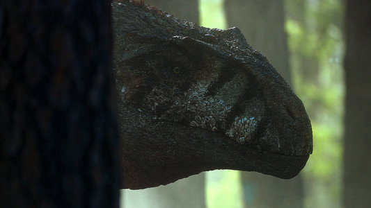 The Dinosaurs