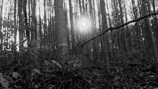 The Blair Witch Project