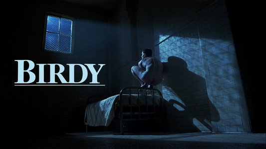 Birdy
