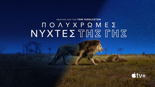 Earth at Night in Colour