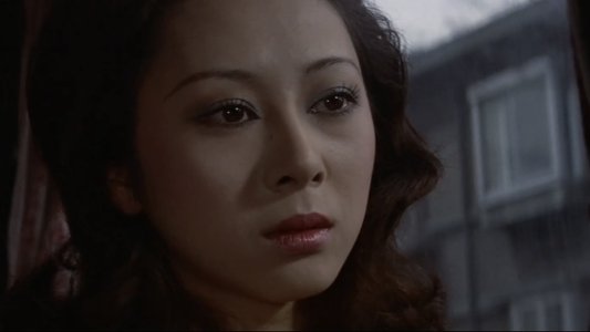 さすらいの恋人　眩暈