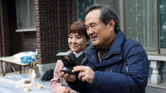 푸른노을