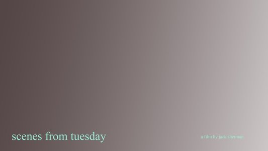 Scenes From Tuesday