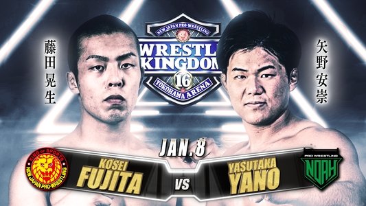 NJPW & NOAH: Wrestle Kingdom 16 - Night 3