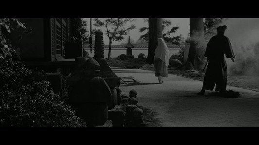 忍者狩り
