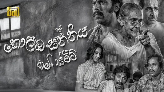 කොළඹ සන්නිය: කමිං ස්වීට්