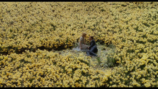 Big Fish