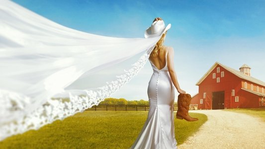 Farmer Wants a Wife