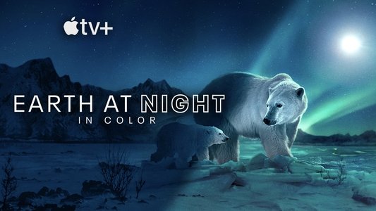 Earth at Night in Colour
