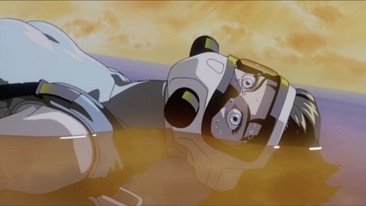 GHOST IN THE SHELL