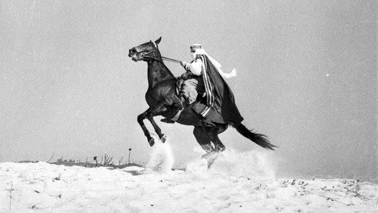 O Sheik de Agadir