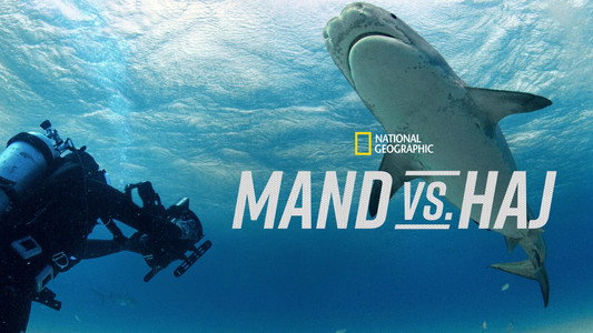 Man vs. Shark
