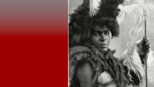 Secrets of The Human Zoos