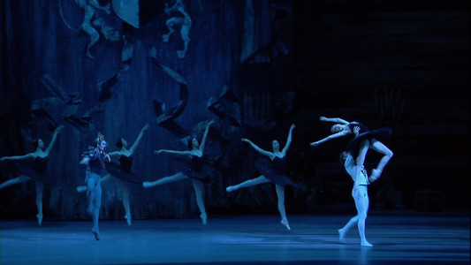 Tchaikovsky - Swan Lake (The Bolshoi Ballet Collection)