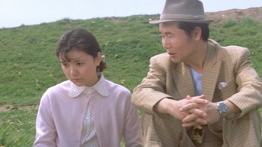 男はつらいよ 奮闘篇