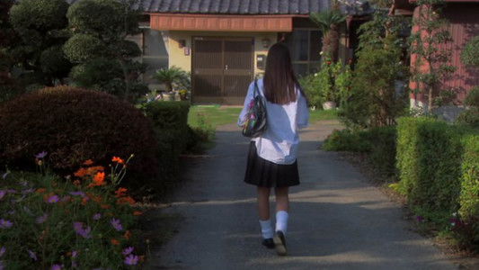 リリイ・シュシュのすべて