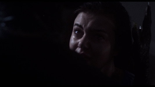 Dracula: The Night Around Us