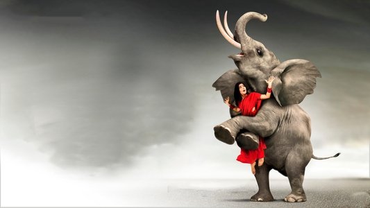 అవును