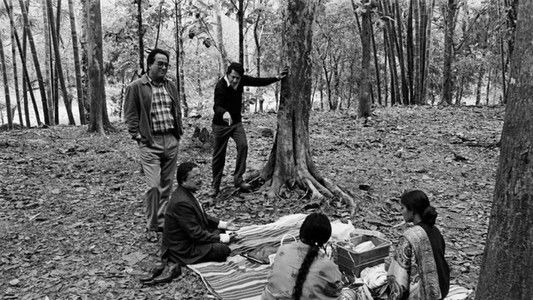 শাখা প্রশাখা