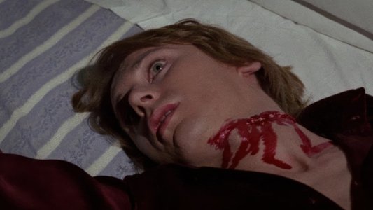 Il sesso della strega