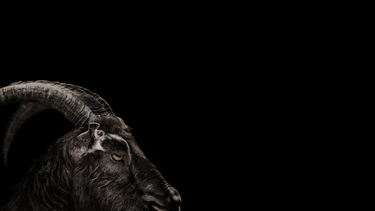 The Witch