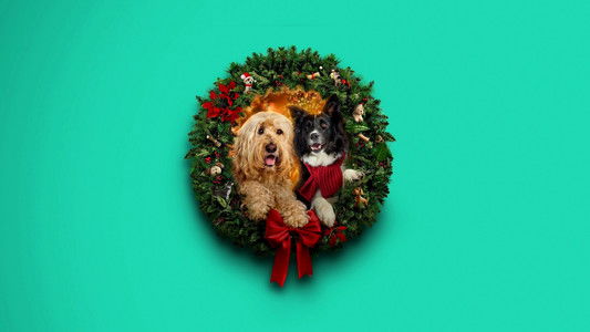 Happy Howlidays