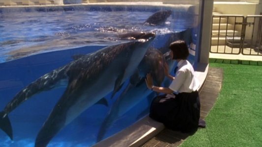 水の中の八月