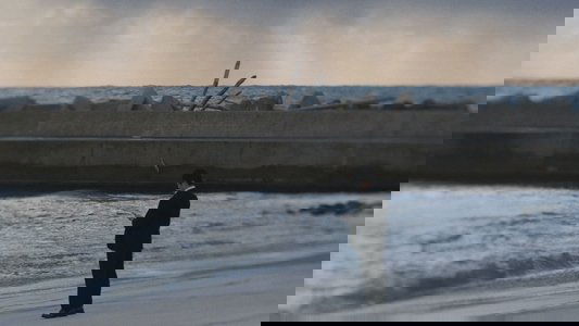 国道7号線
