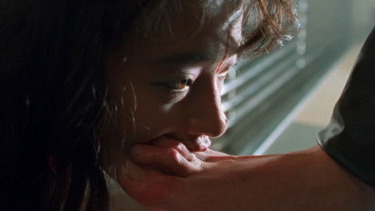 Door II: Tokyo Diary