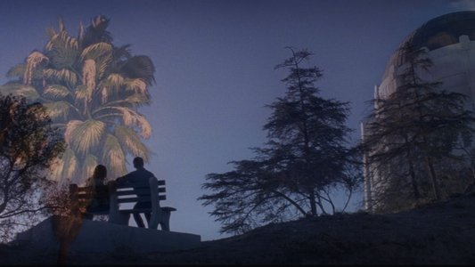 La La Land